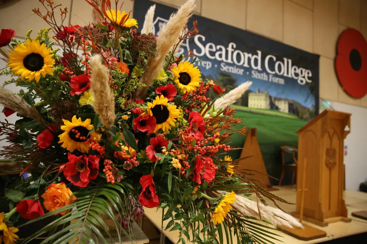 OptimizedImage,Optimized