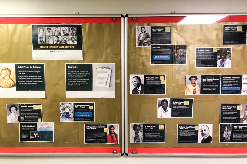 OriginalImage,Original