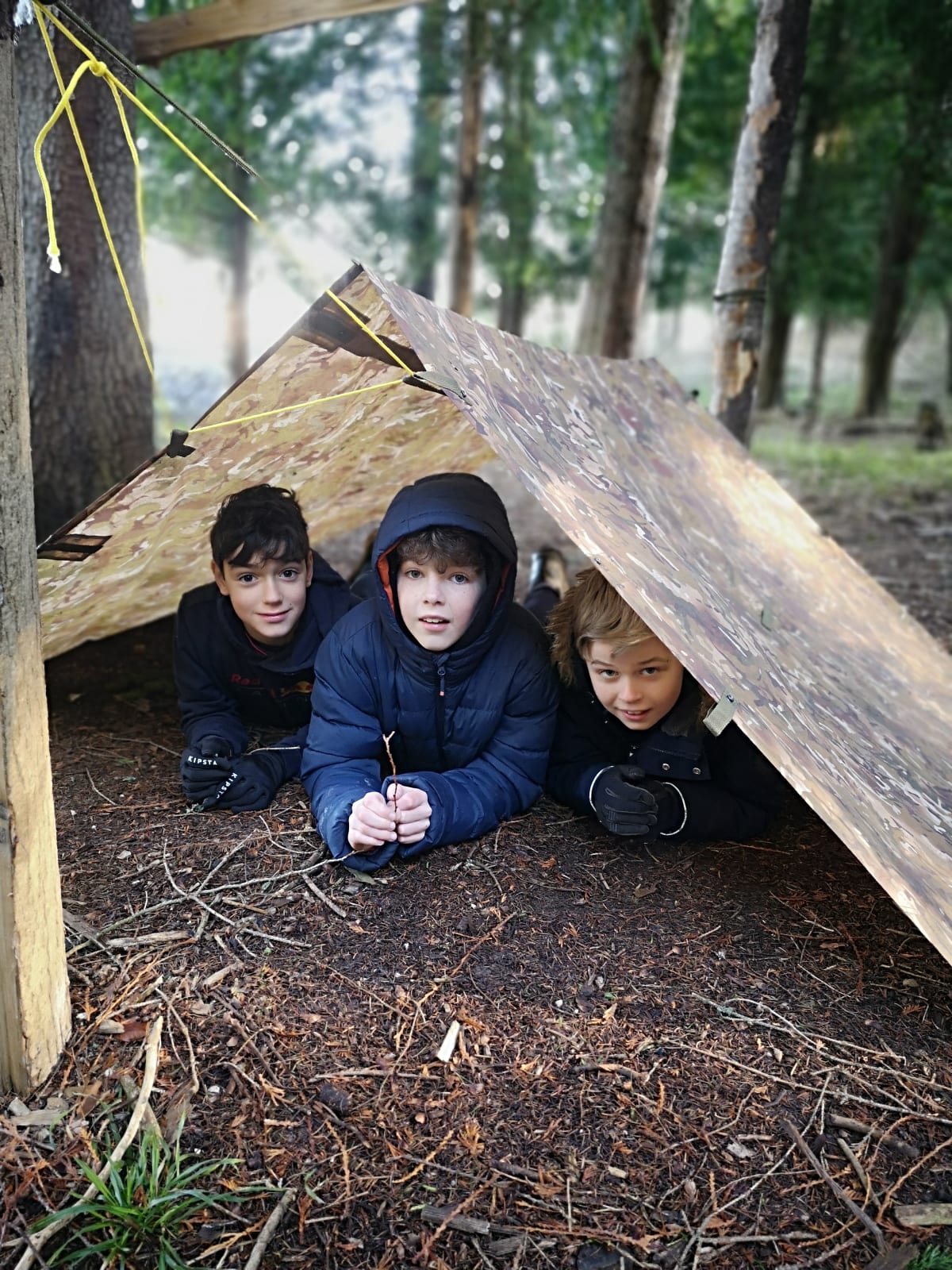 OriginalImage,Original,blog