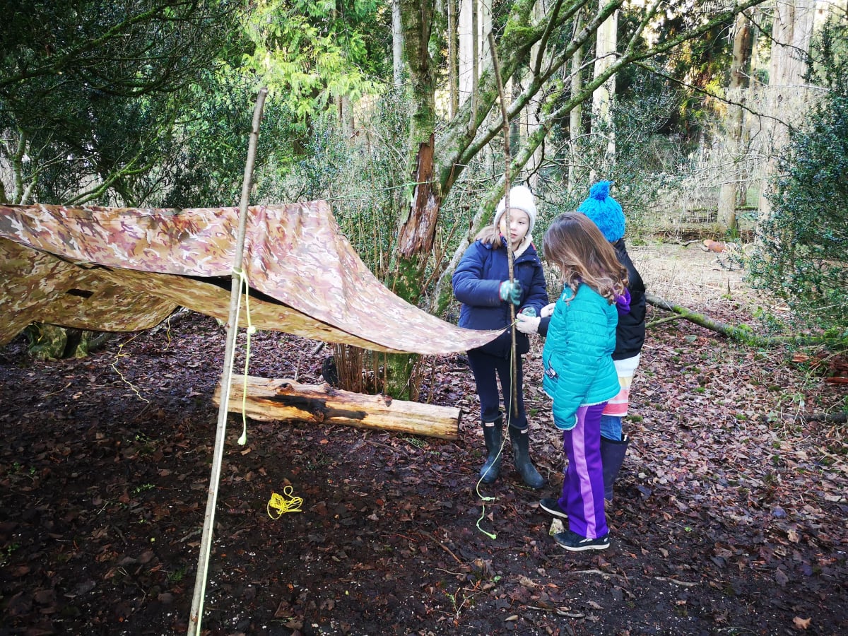 OriginalImage,Original,blog