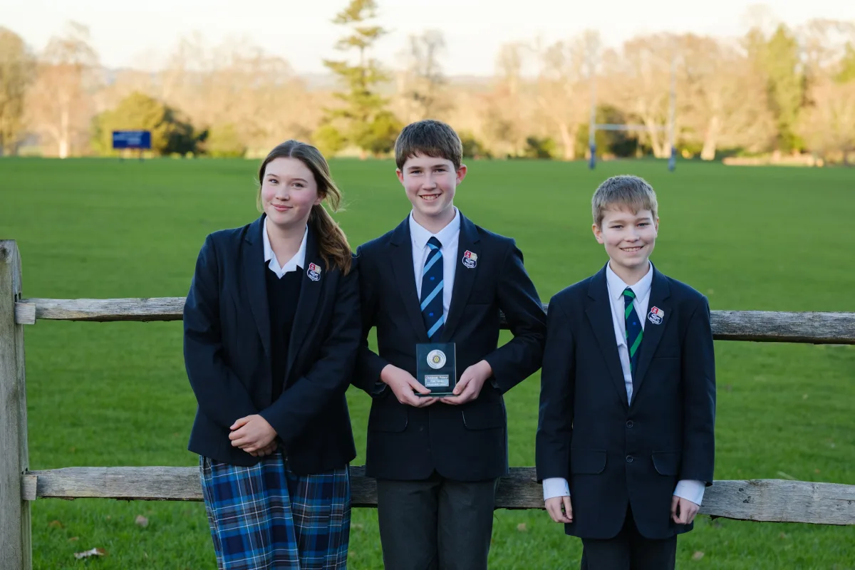 OriginalImage,Original,blog