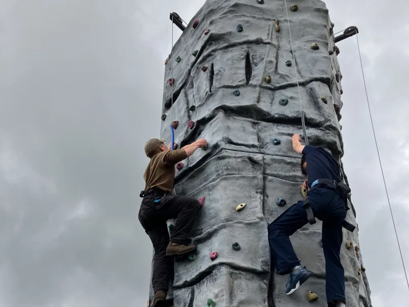 OriginalImage,Original