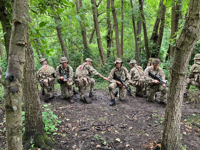 OriginalImage,Original