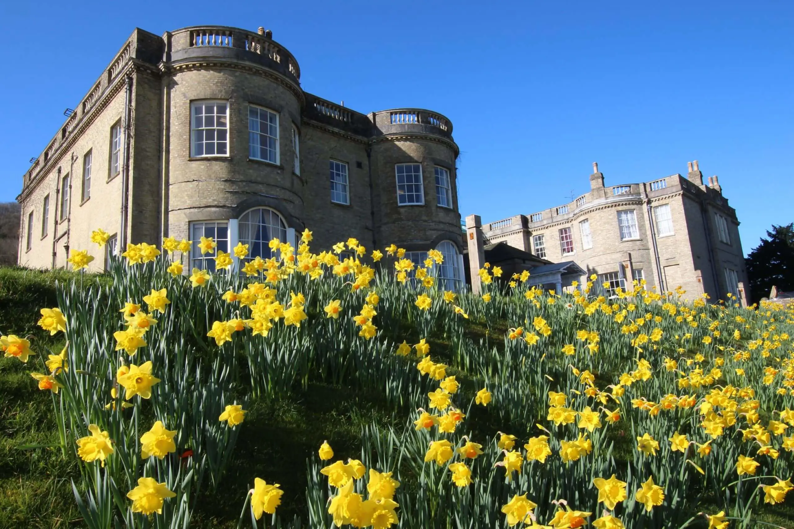 Seaford College school building with daffodils in the foreground.