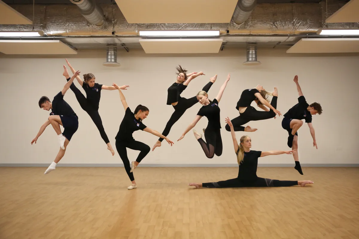 OriginalImage,,,Original