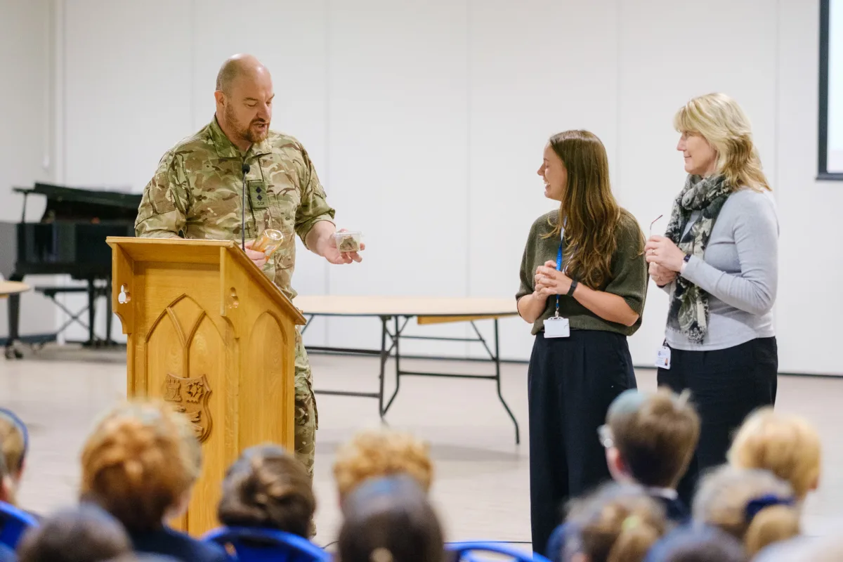 OriginalImage,Original,blog,blog posts