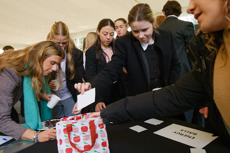 OriginalImage,Original,blog,blogpost