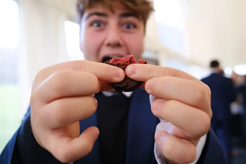 OriginalImage,Original,blog,blogpost