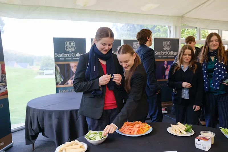 OriginalImage,Original,blog,blogpost