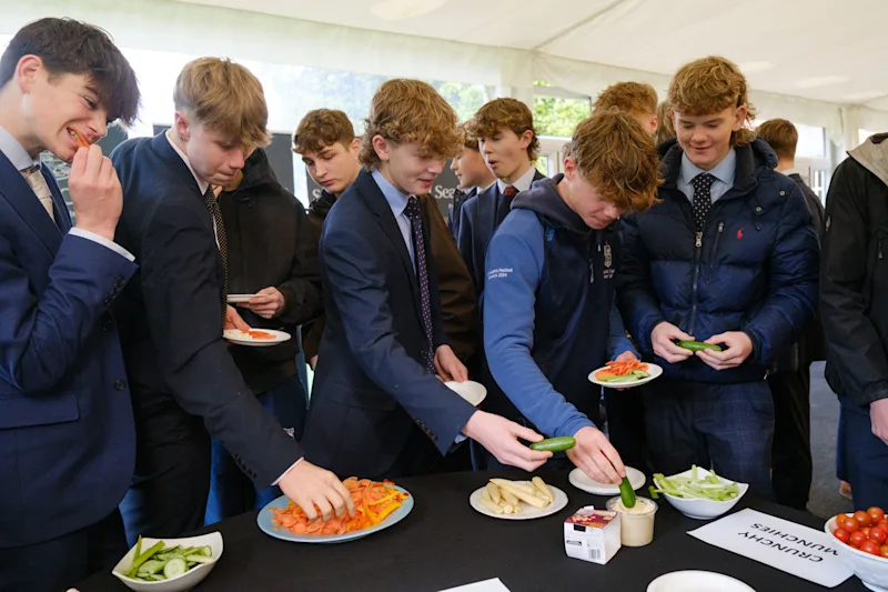 OriginalImage,Original,blog,blogpost