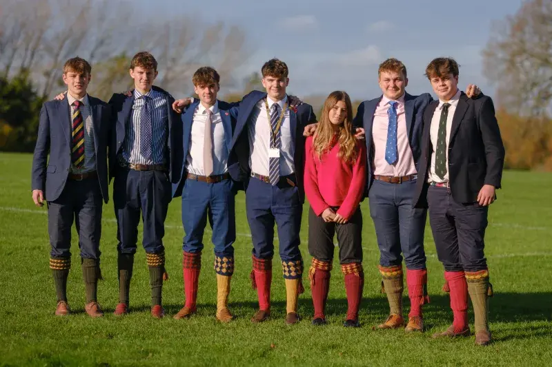  OptimizedImage,Optimized