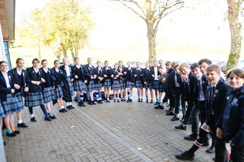  OptimizedImage,Optimized