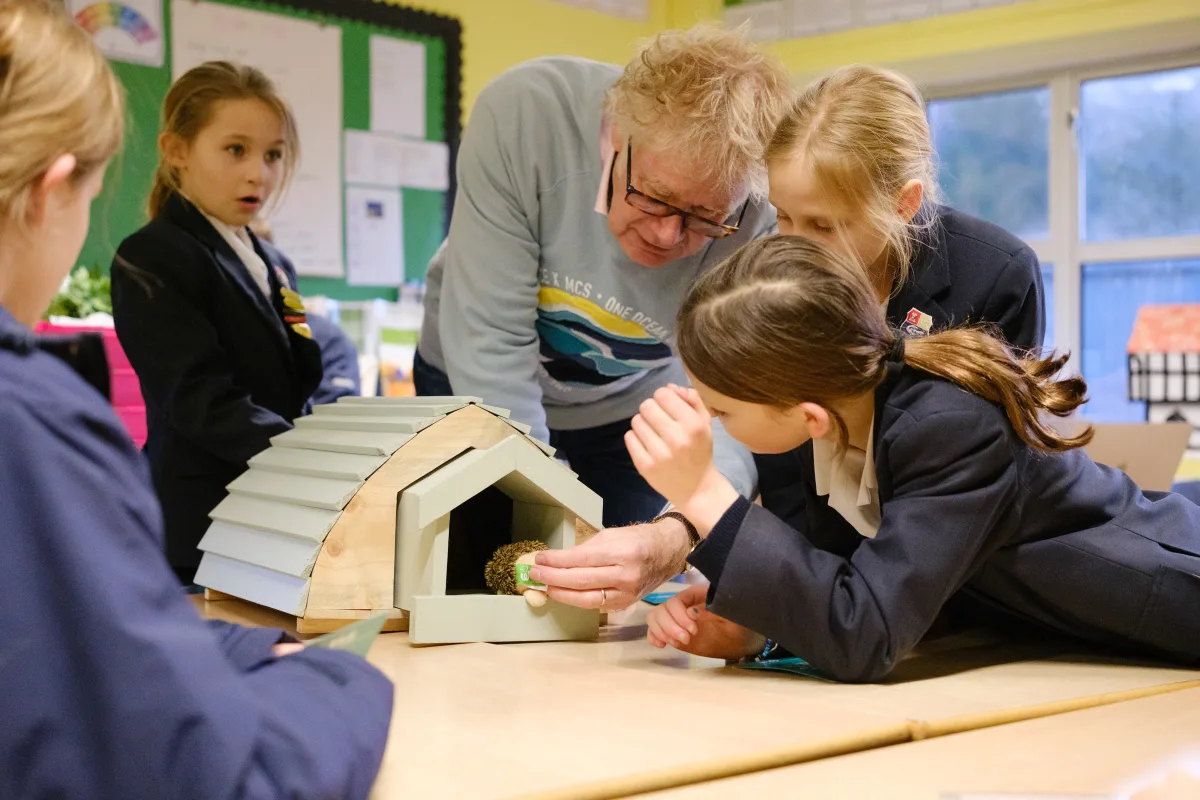 OriginalImage,Original,blog post