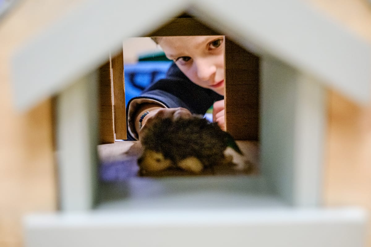 OriginalImage,Original,blog post