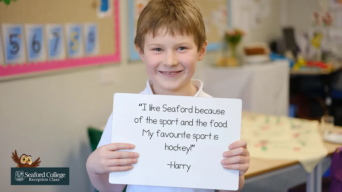 OriginalImage,Original,blog,blog post