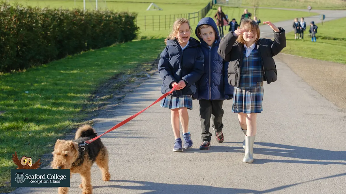 OriginalImage,Original,blog,blog post