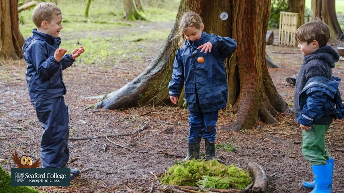 OriginalImage,Original,blog,blog post