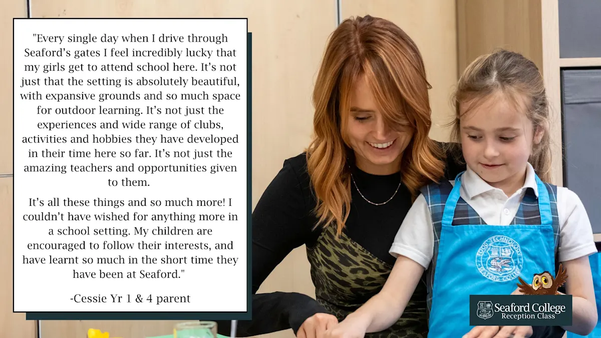 OriginalImage,Original,blog,blog post