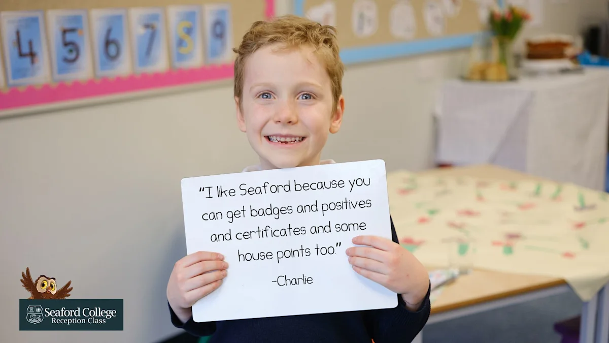 OriginalImage,Original,blog,blog post