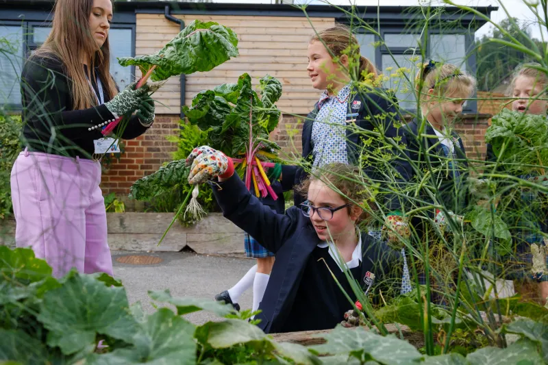 OriginalImage,Original