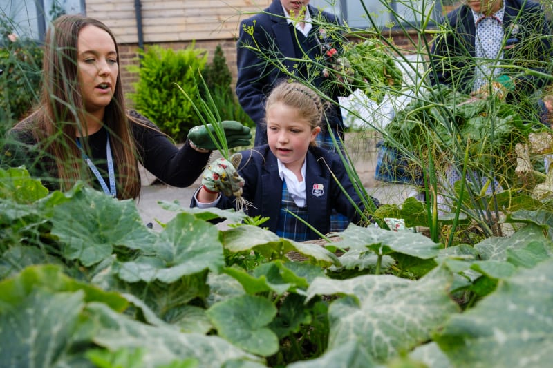 OriginalImage,Original