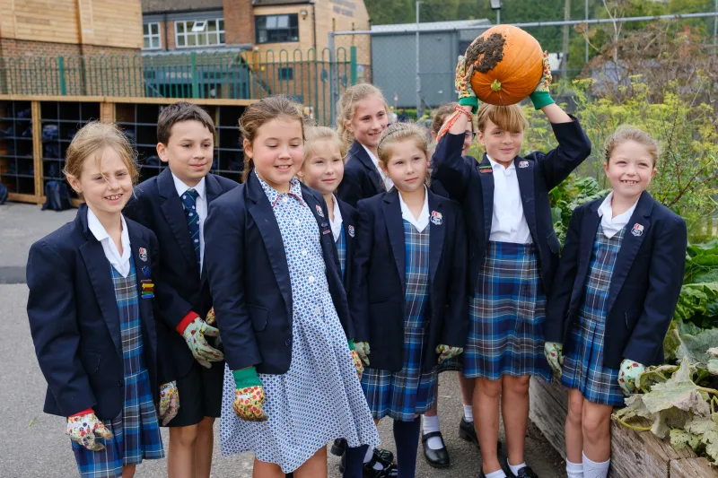 OriginalImage,Original