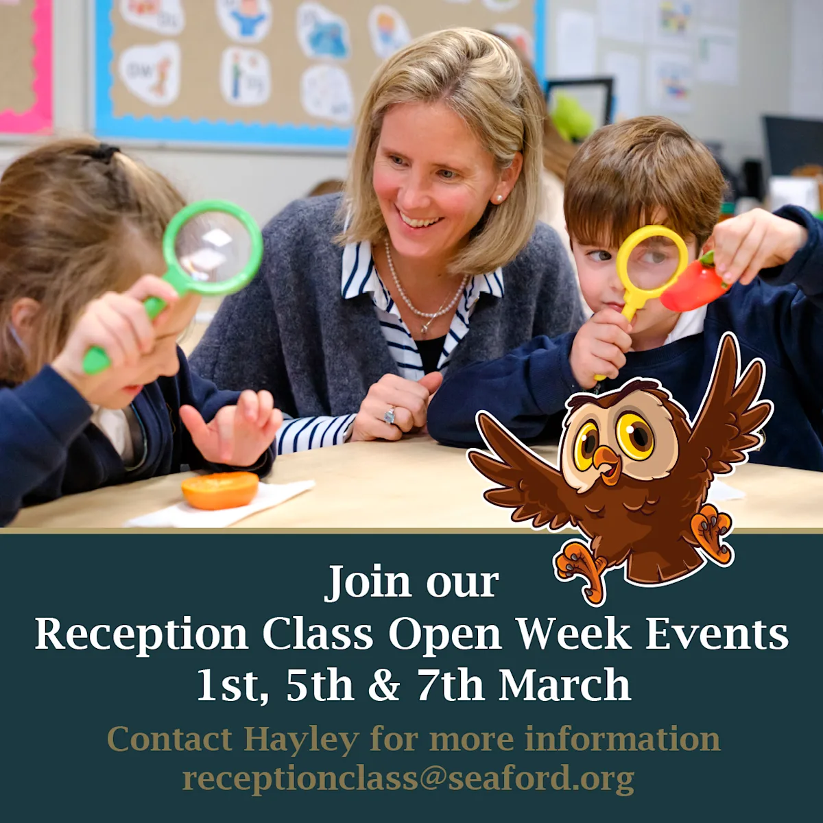 OriginalImage,Original,blog,blog post,reception,reception class,poster,owl class,promo,promotion,prep