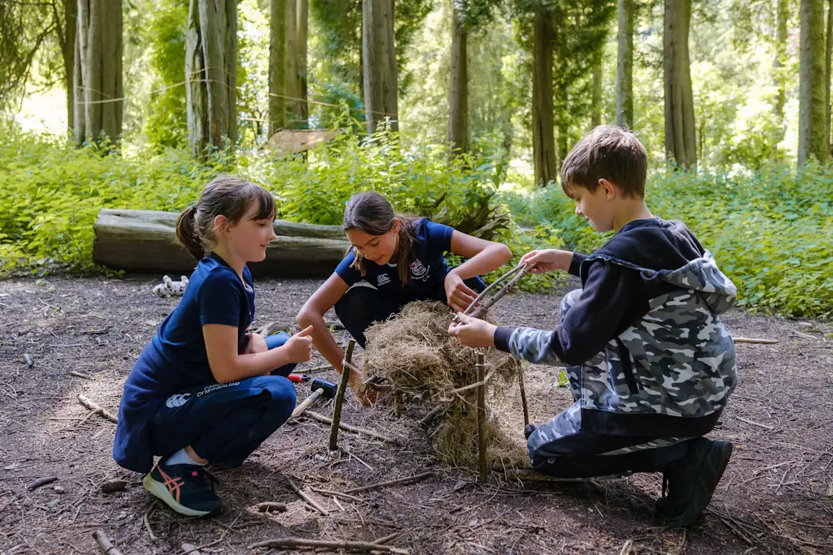 OriginalImage,Original