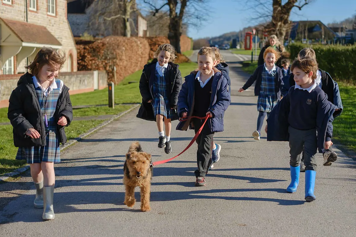 OriginalImage,reception,prep school,dog walking,dog,group,2025,,Original