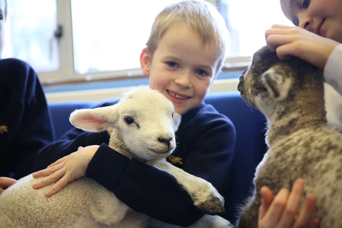 OriginalImage,Original