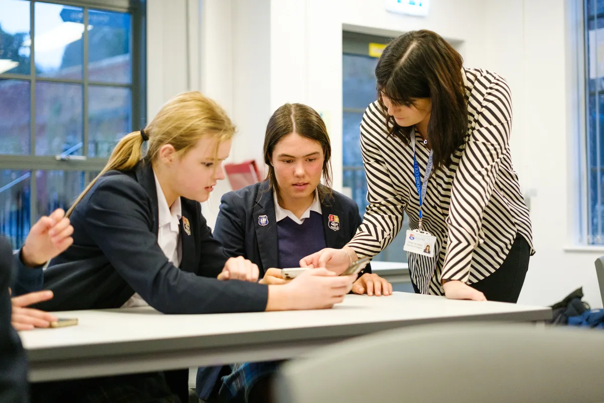 OriginalImage,Original,blog post