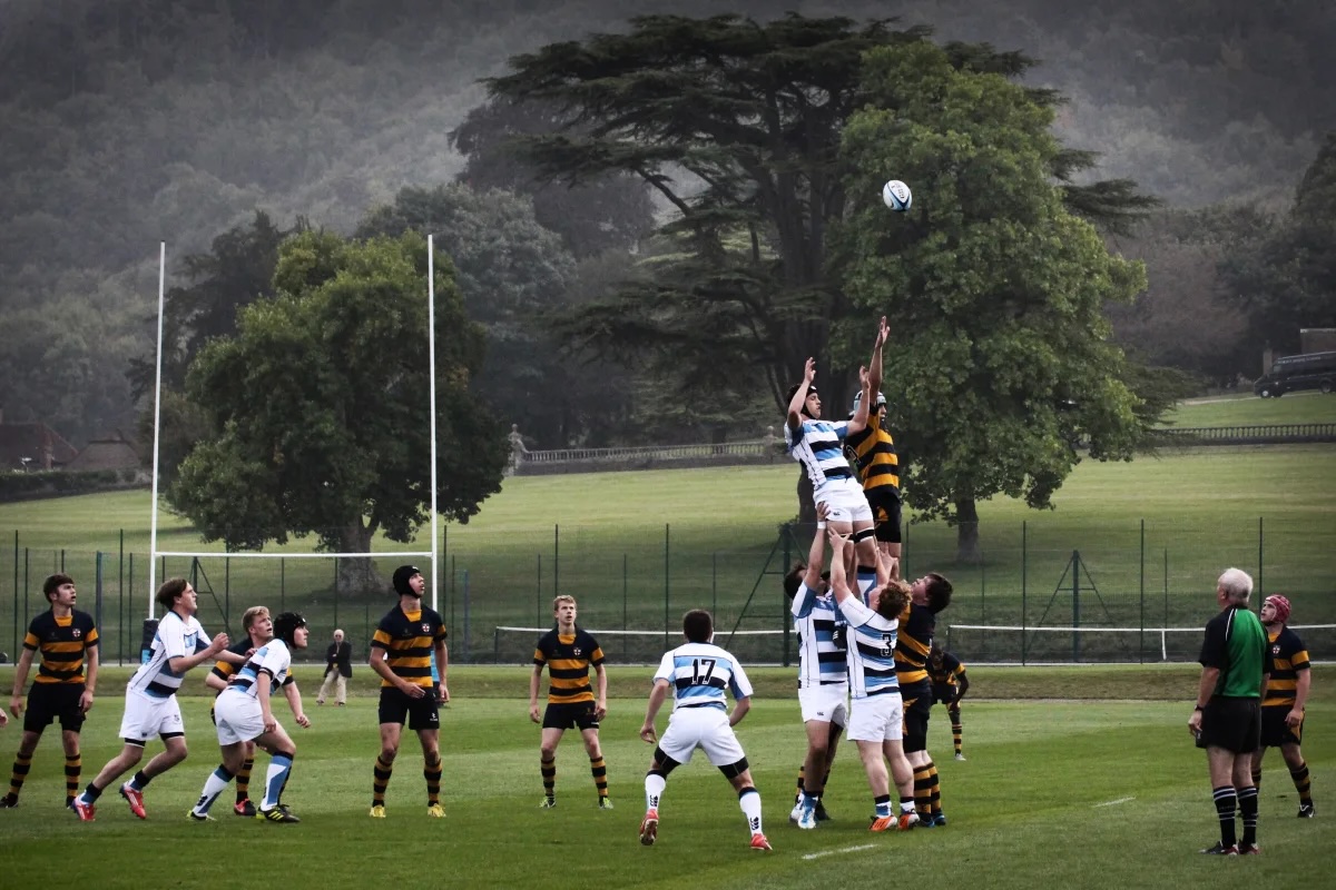 OriginalImage,,,Original