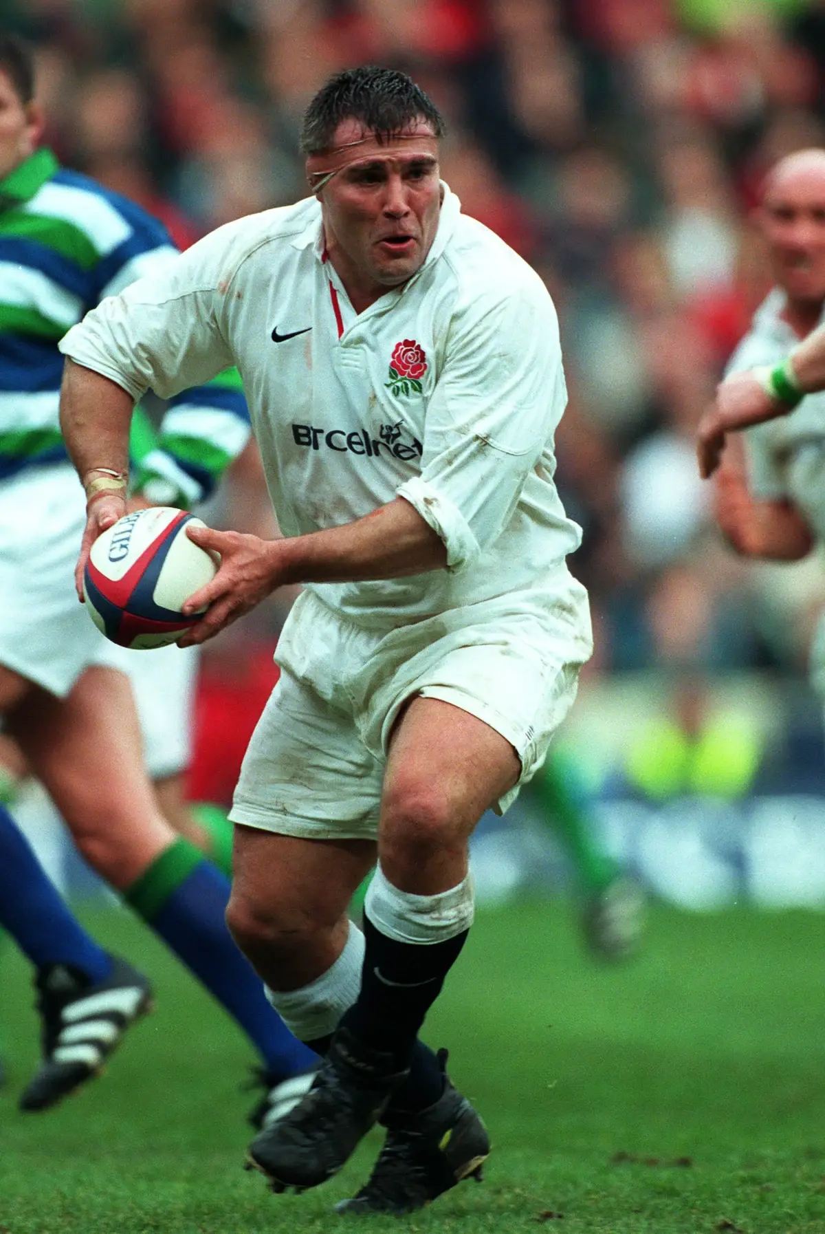  OptimizedImage,Optimized