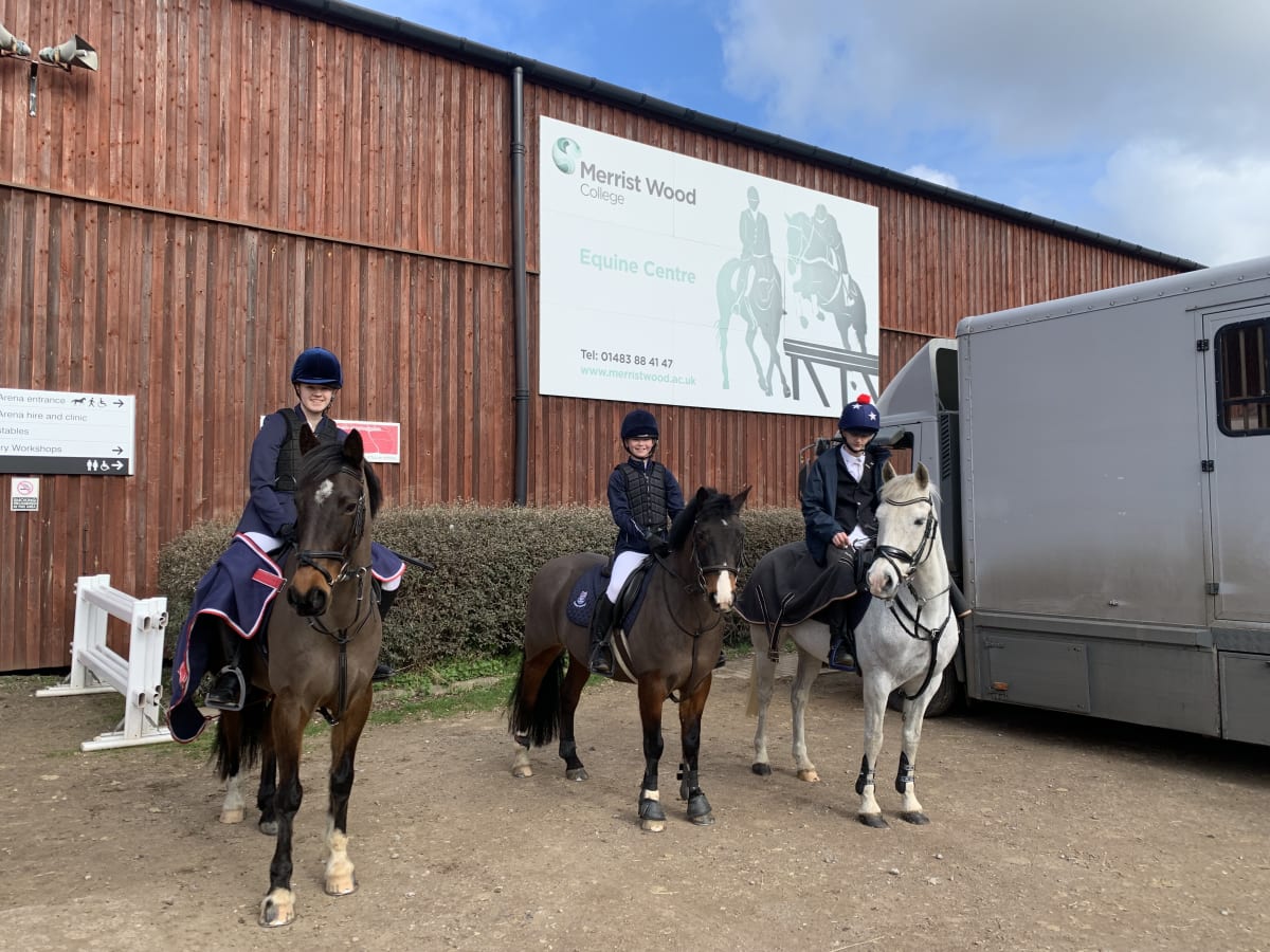 OriginalImage,Original,blog,2023