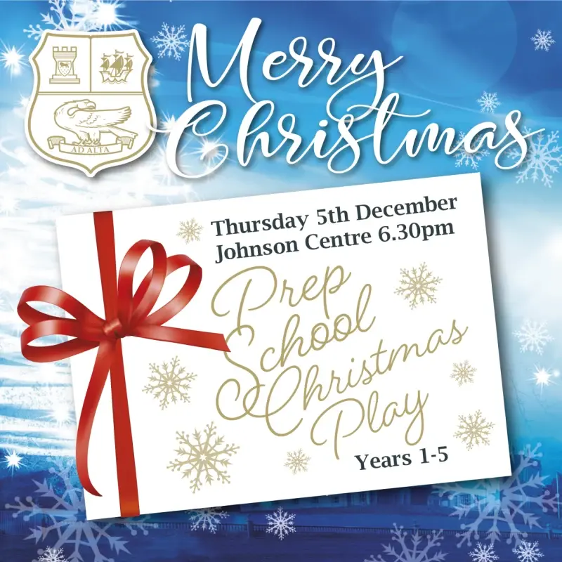  OptimizedImage,Optimized