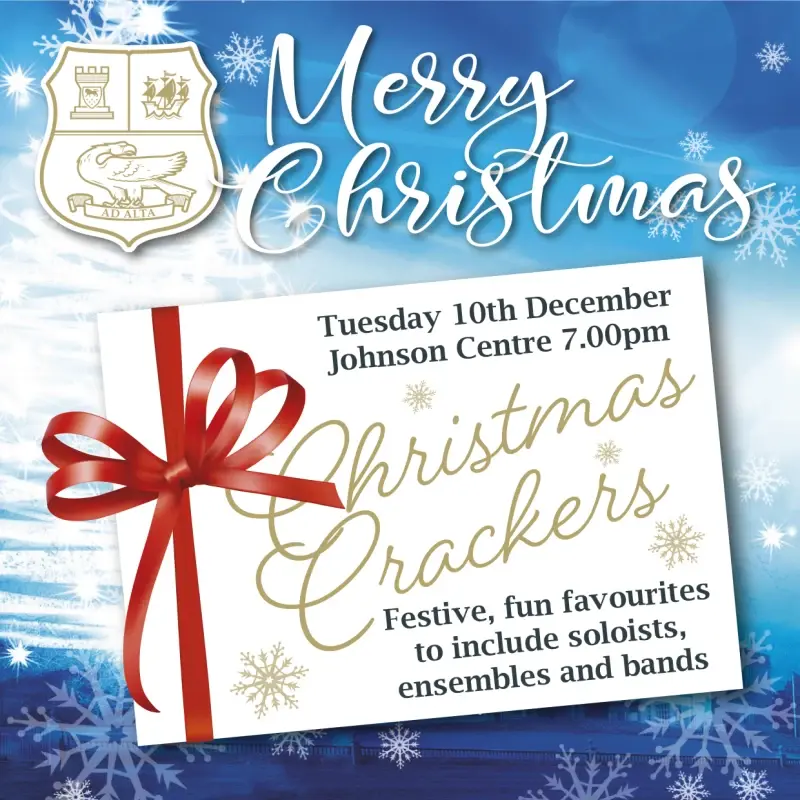  OptimizedImage,Optimized