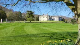 OptimizedImage,Optimized